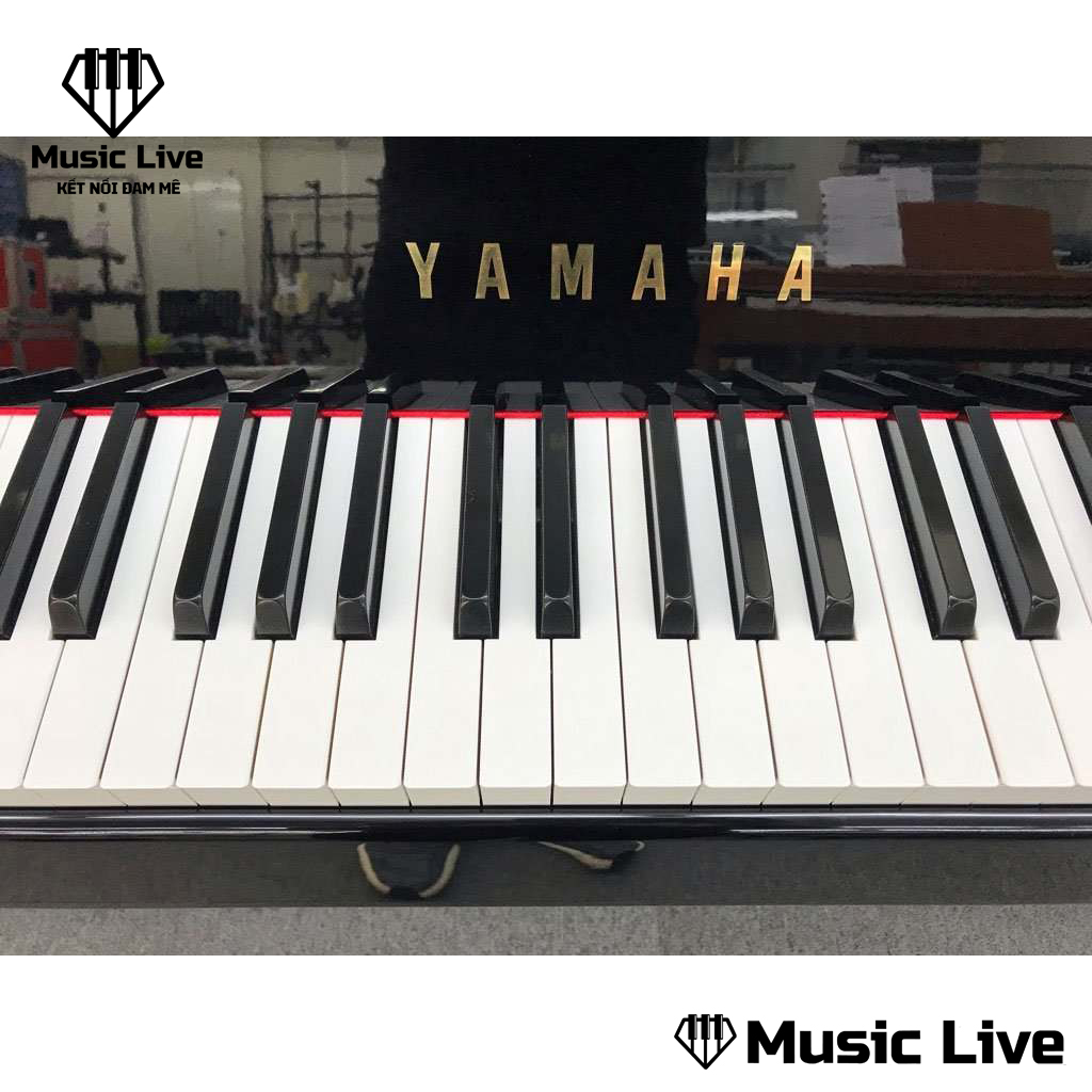 Piano-điện-Yamaha-DGP-5-2